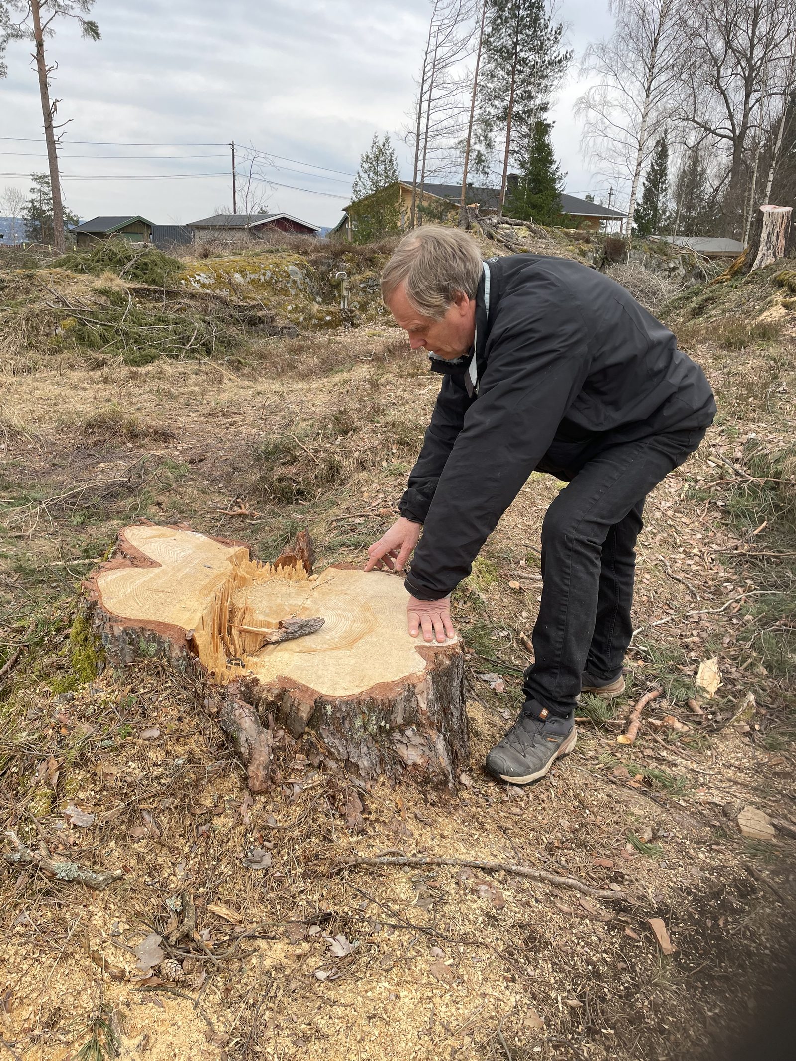Skogaksjonen på tur med en skogeier — inspiserer en nyhogd stubbe.