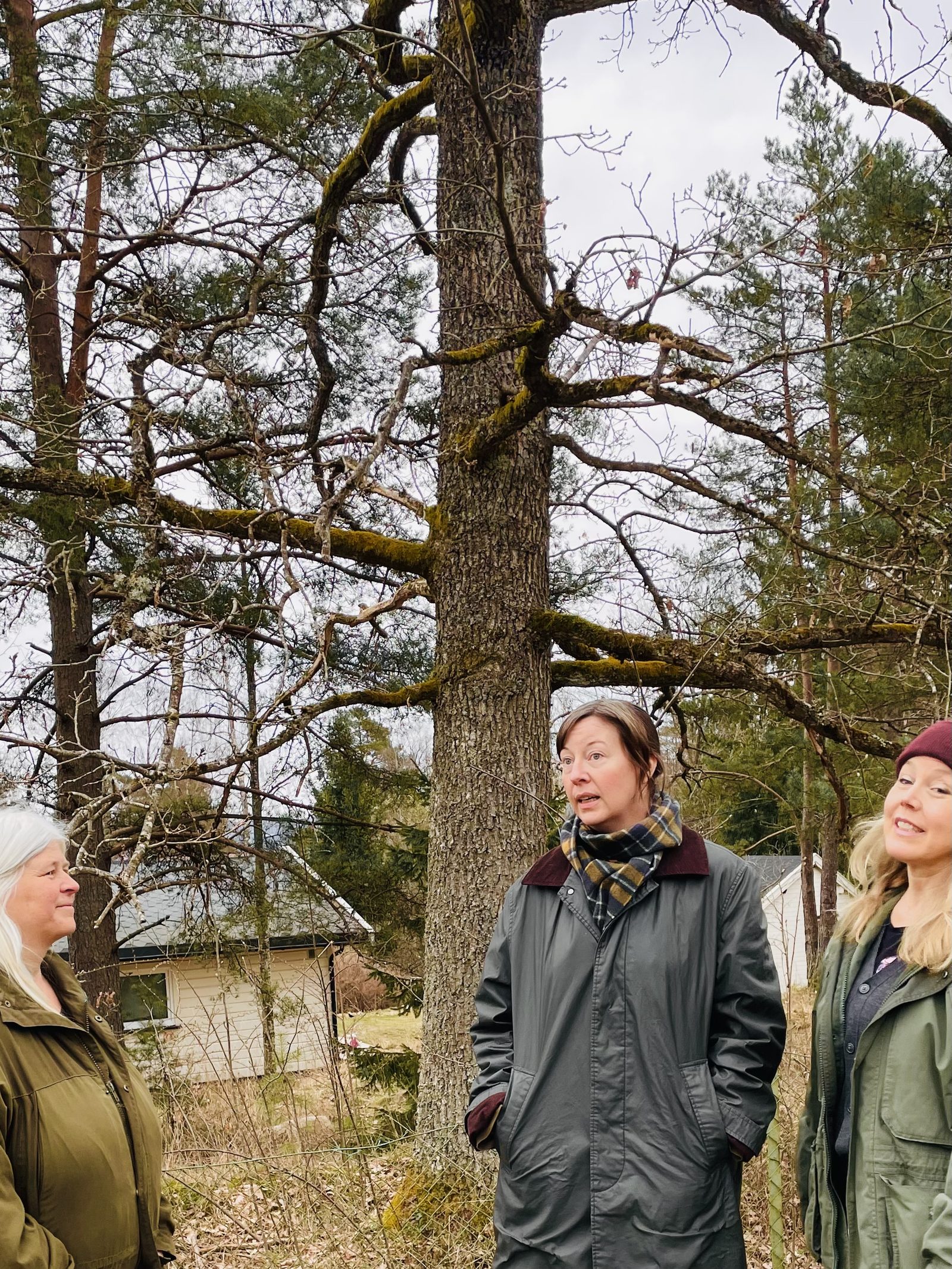 På gåtur med Anna Sommerström og naboer i Oksval-Ursvik-området.