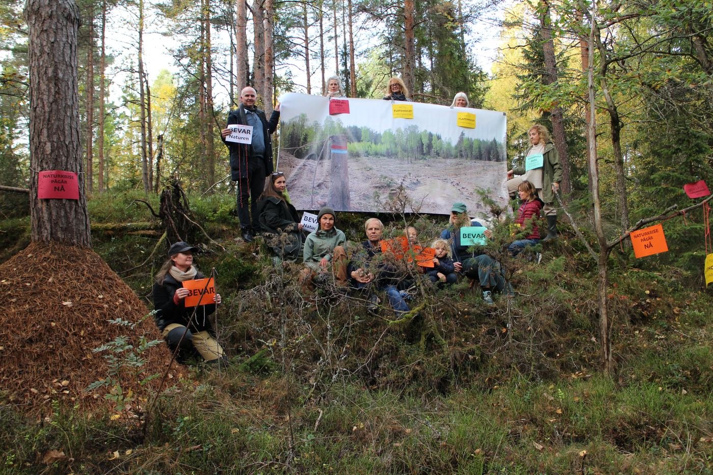 Deltakerne samlet i skogkanten med stort banner og plakater mot flatehogst.