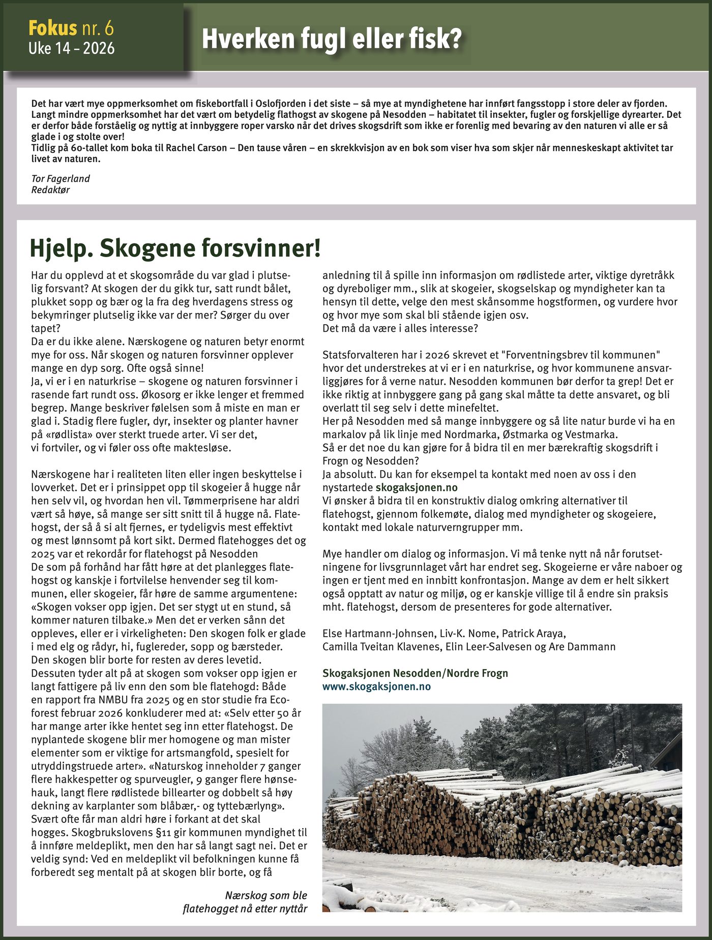 Skogaksjonen omtalt i Foreningsnytt, Fokus nr. 06/26.